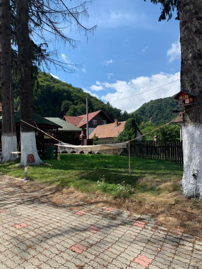 Vila Codreanu Bran  Eksteriør billede